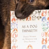 Dog Training books, dog philosophy, understanding dogs, dog books