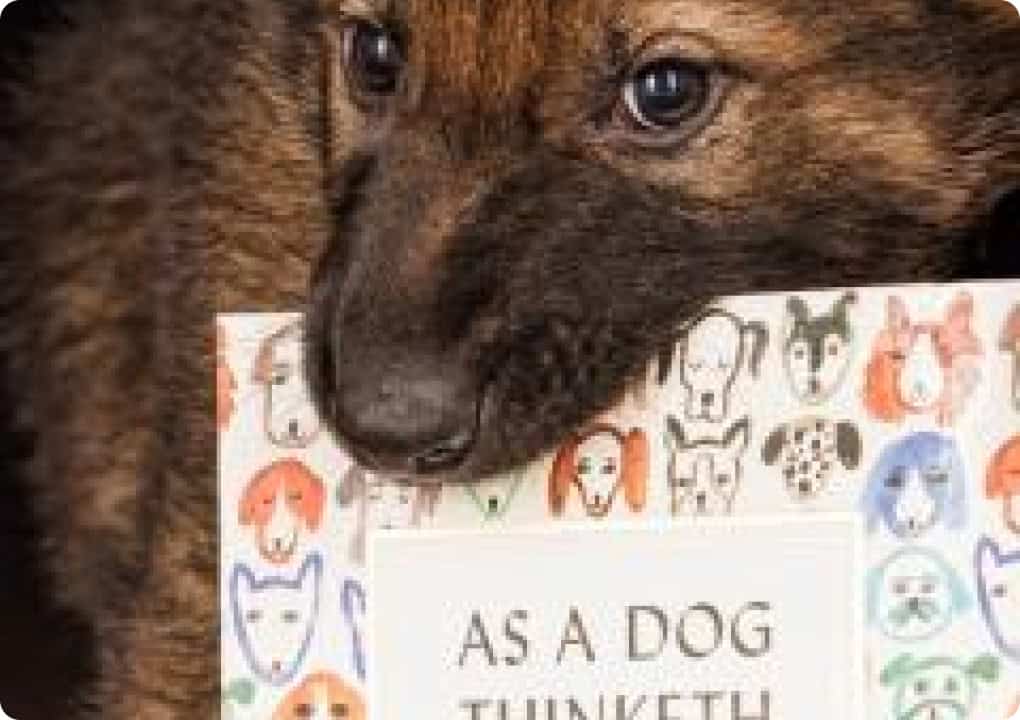 dog holding book