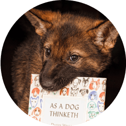 dog with as a dog thinketh book 2